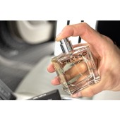 Parfum do auta Fresso Gentleman Air Perfume (50 ml)